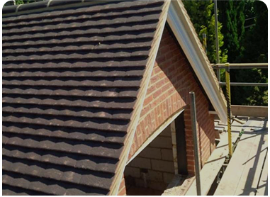 Modern Pitched Roof